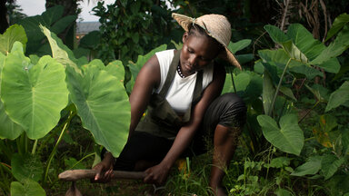 West Africa Farmer