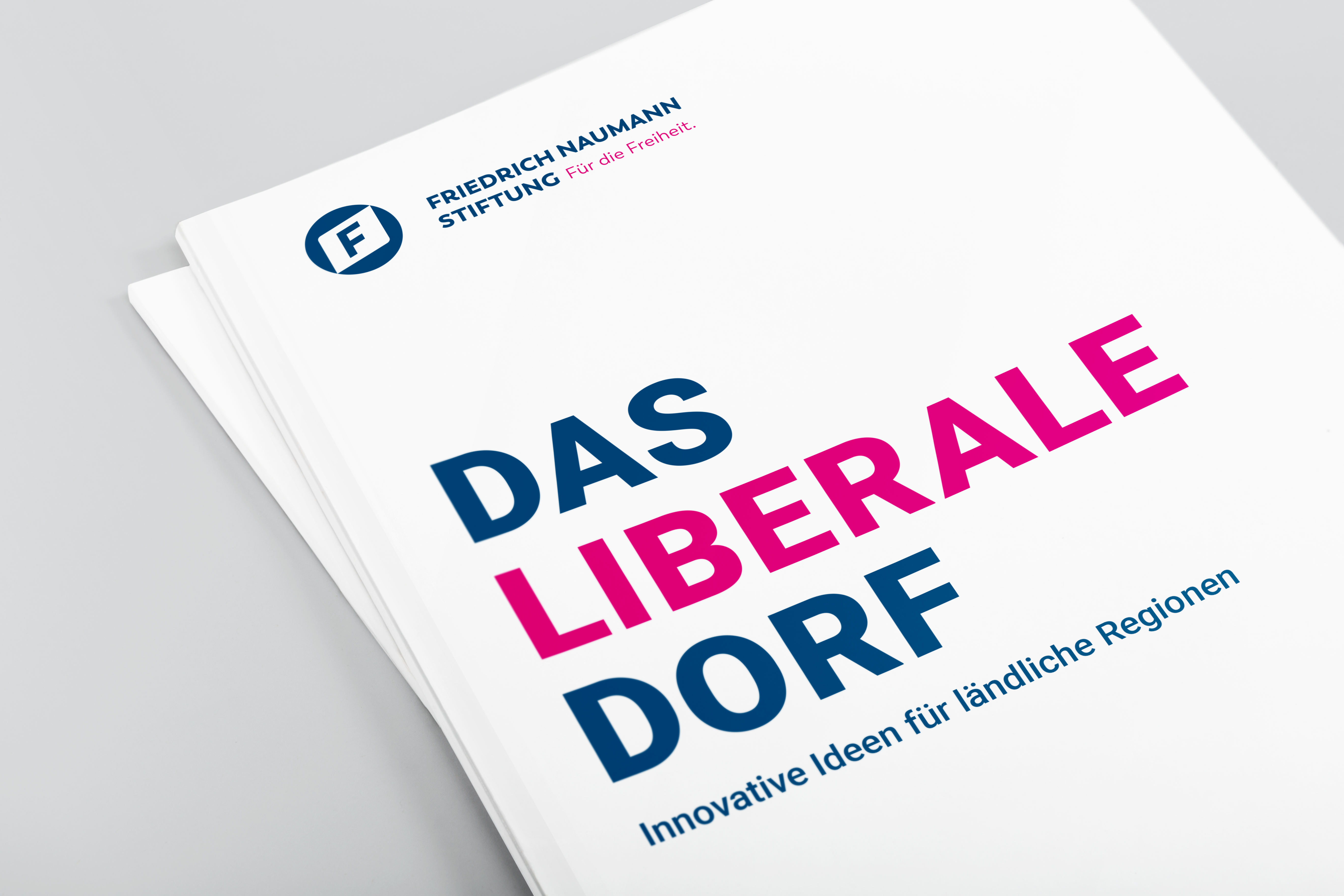 Publikation Liberales Dorf