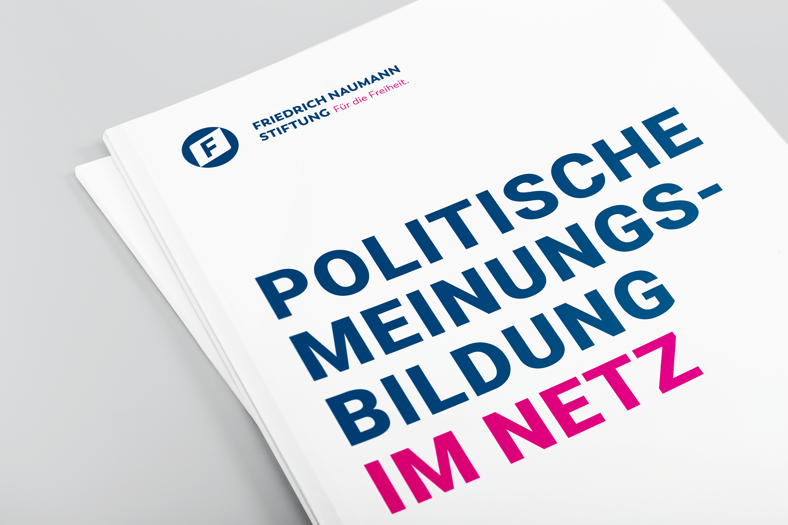 Publikation Politische Meinungsbildung im Netz