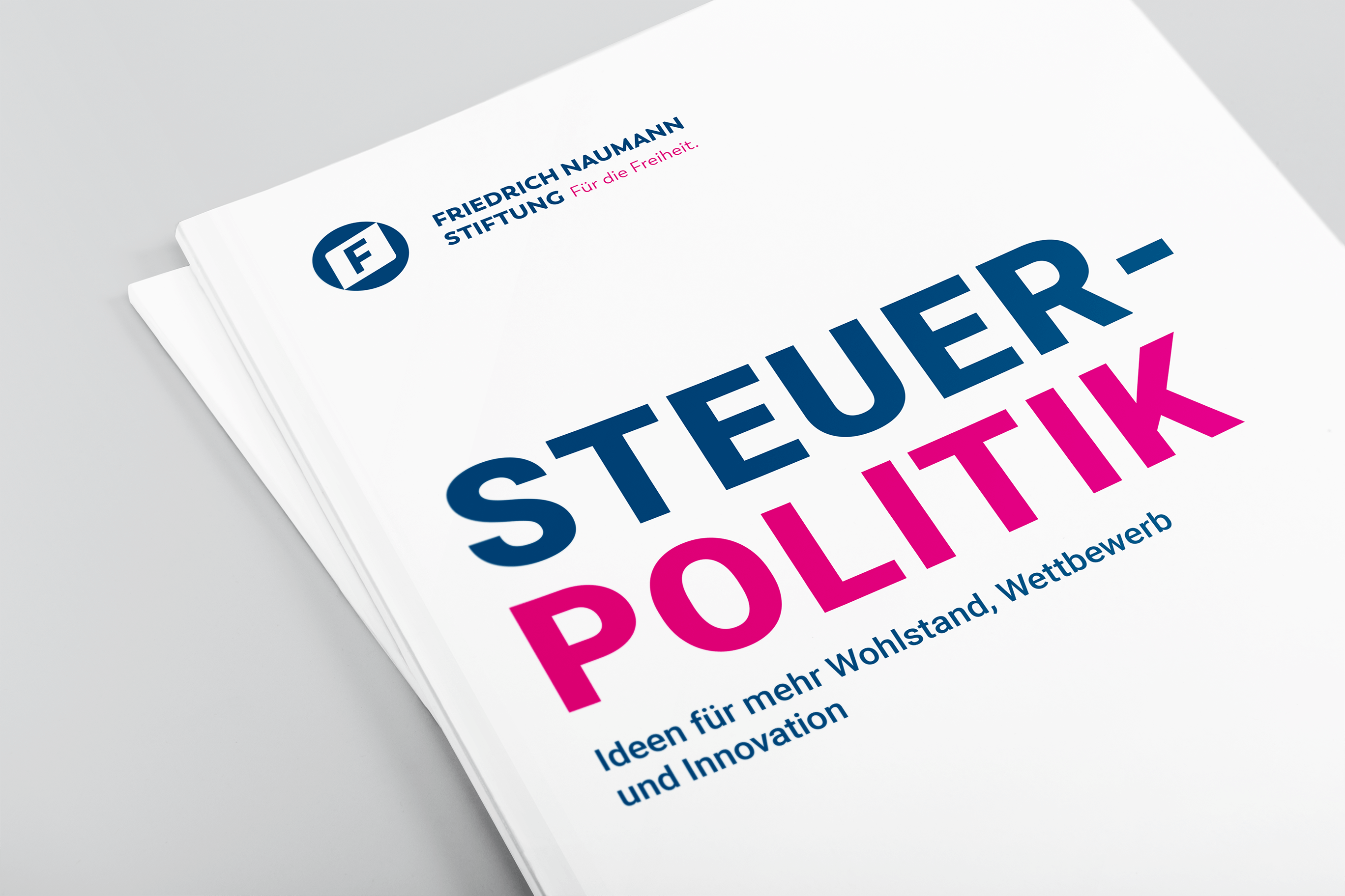 Publikation Steuerpolitik