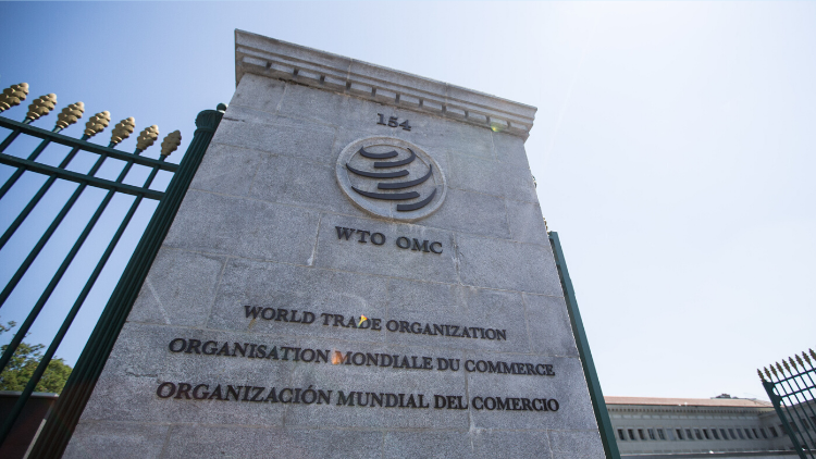  WTO Hauptgebäude in Genf