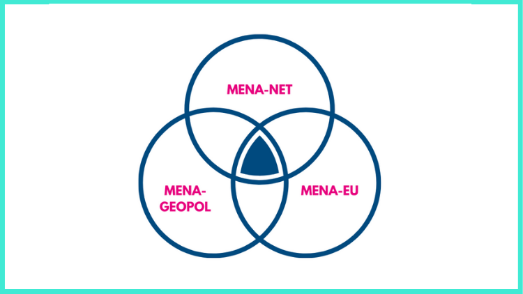 fnf mena projects three project approach