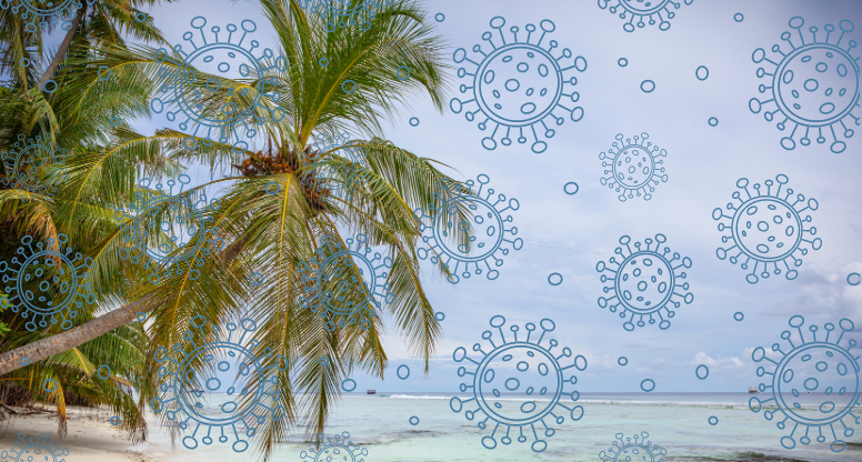 Palm Trees and virus