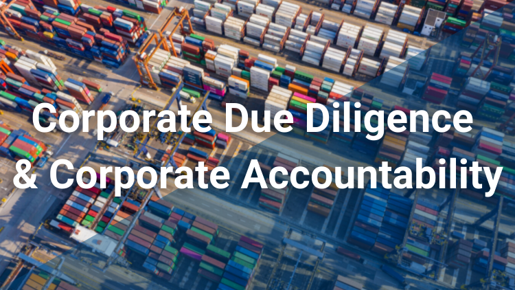 Article Banner Corporate Due Diligence