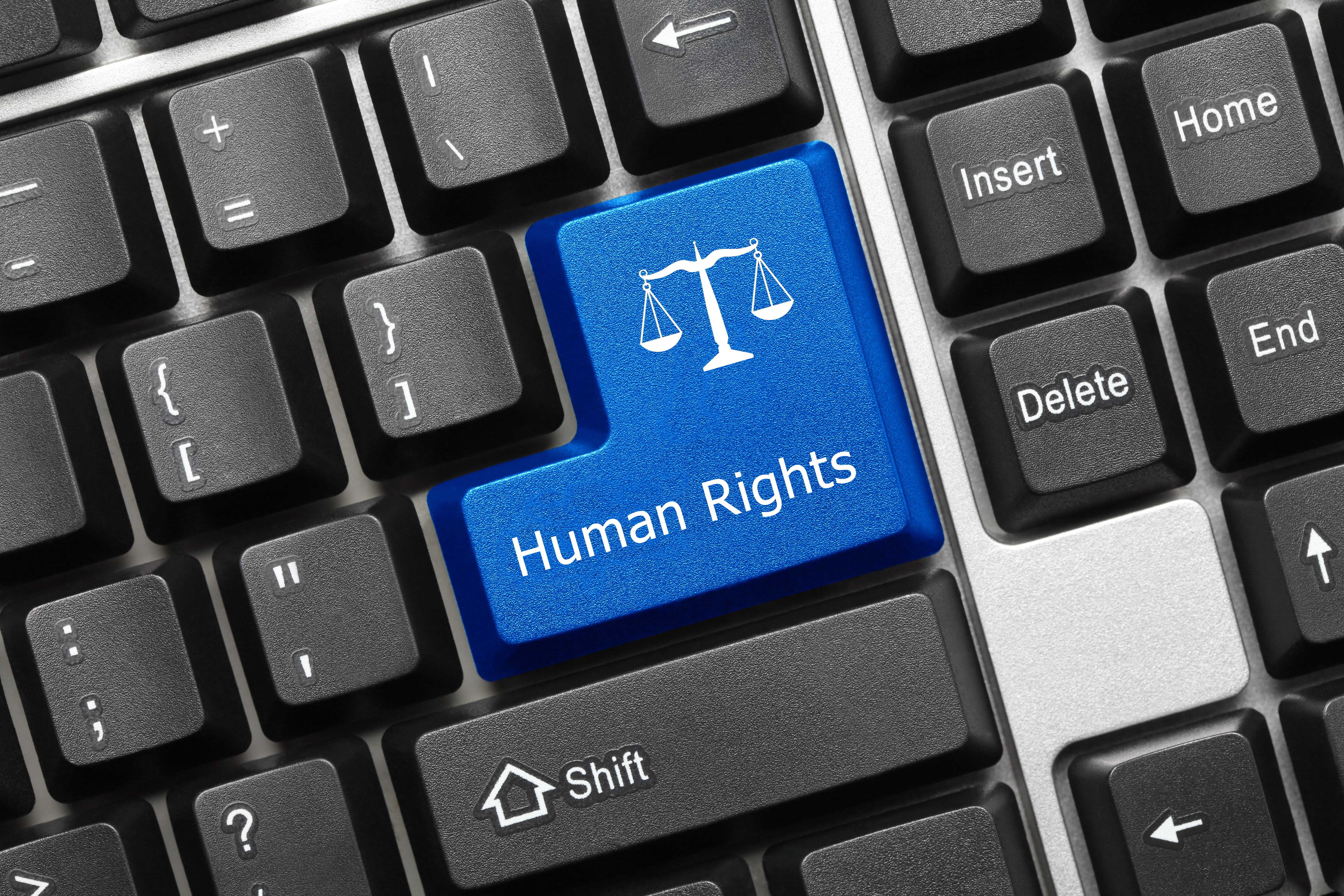 Human rights article