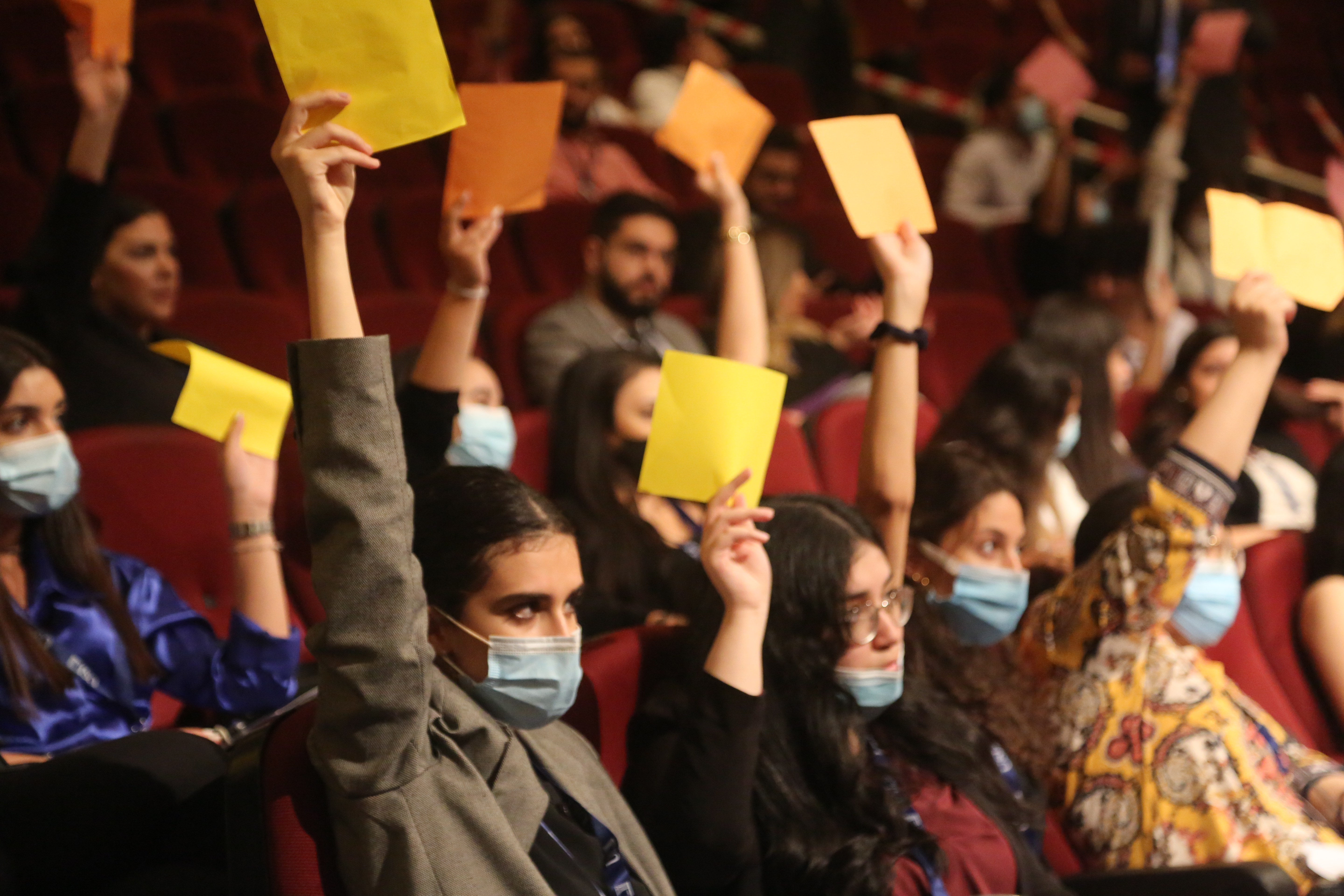 Model Youth Parliament Visual