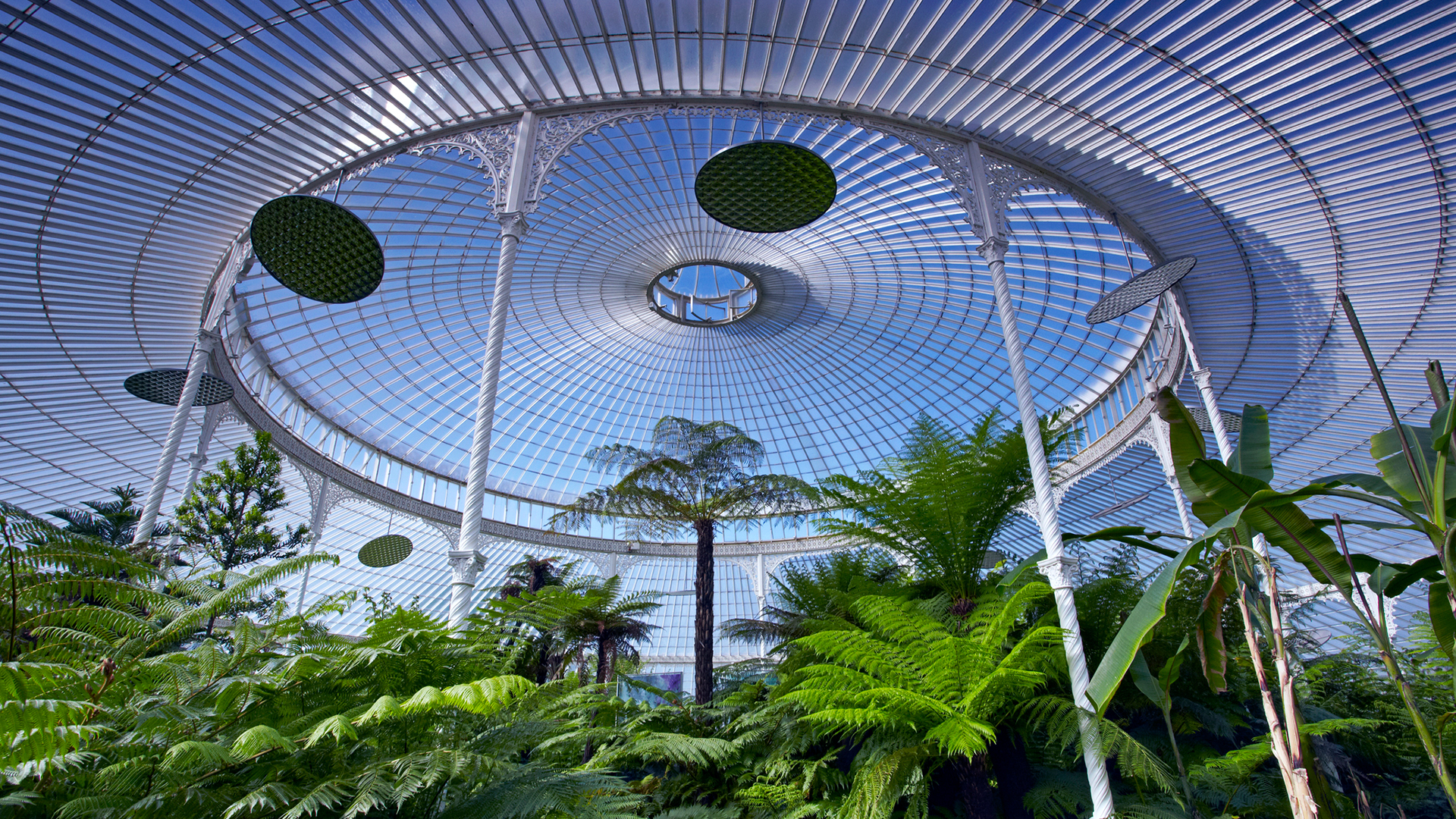 Das "Palmhouse" im Botanischen Garten Glasgow