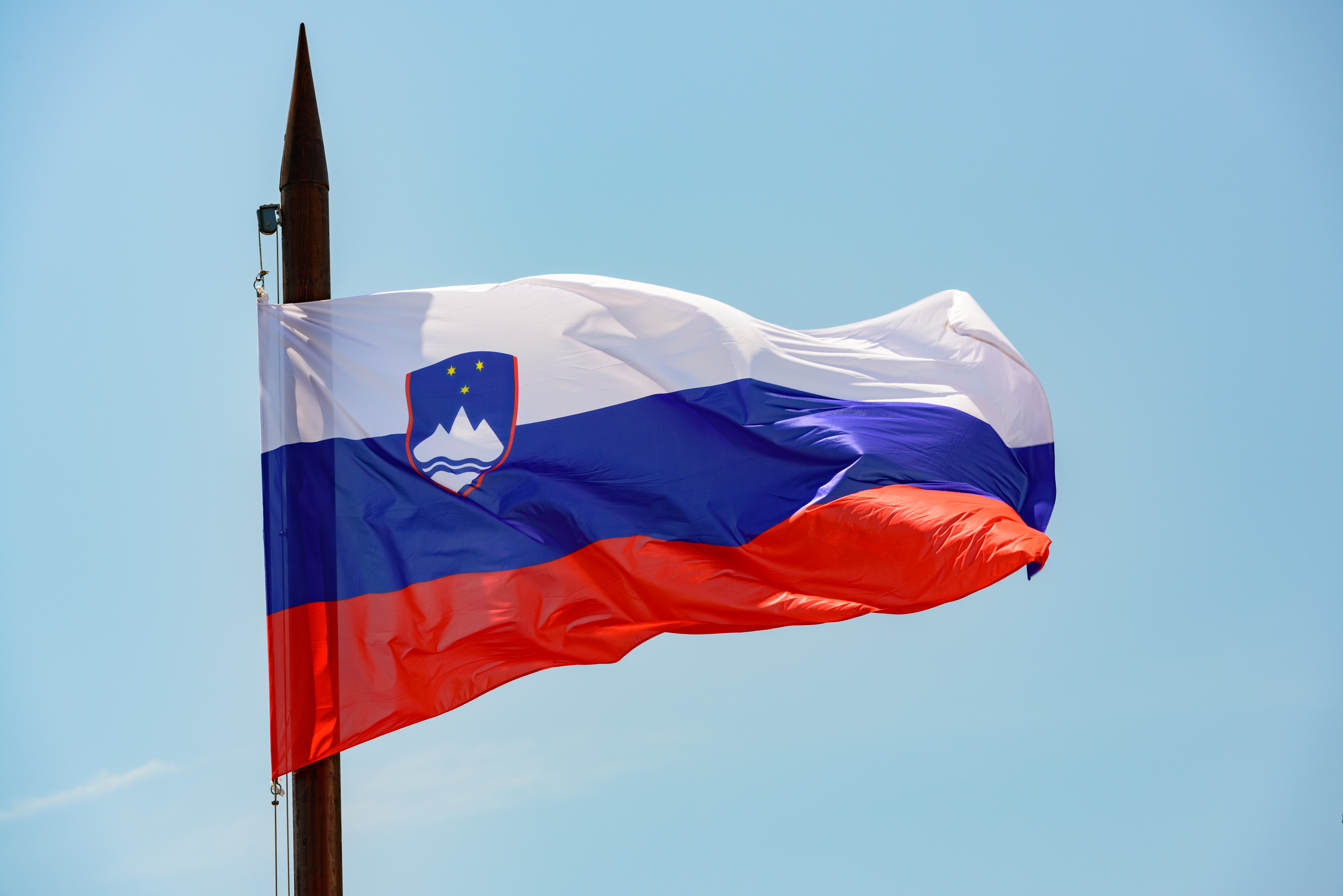 Slovenian Flag