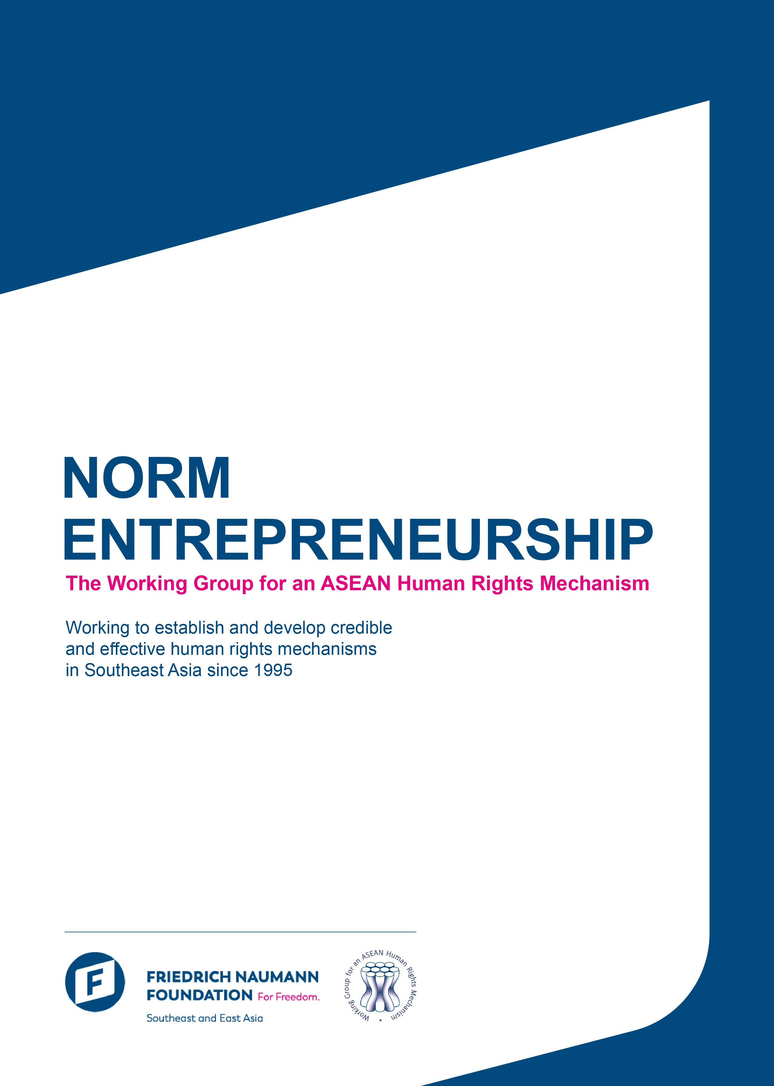 Norm Entrepreneurship