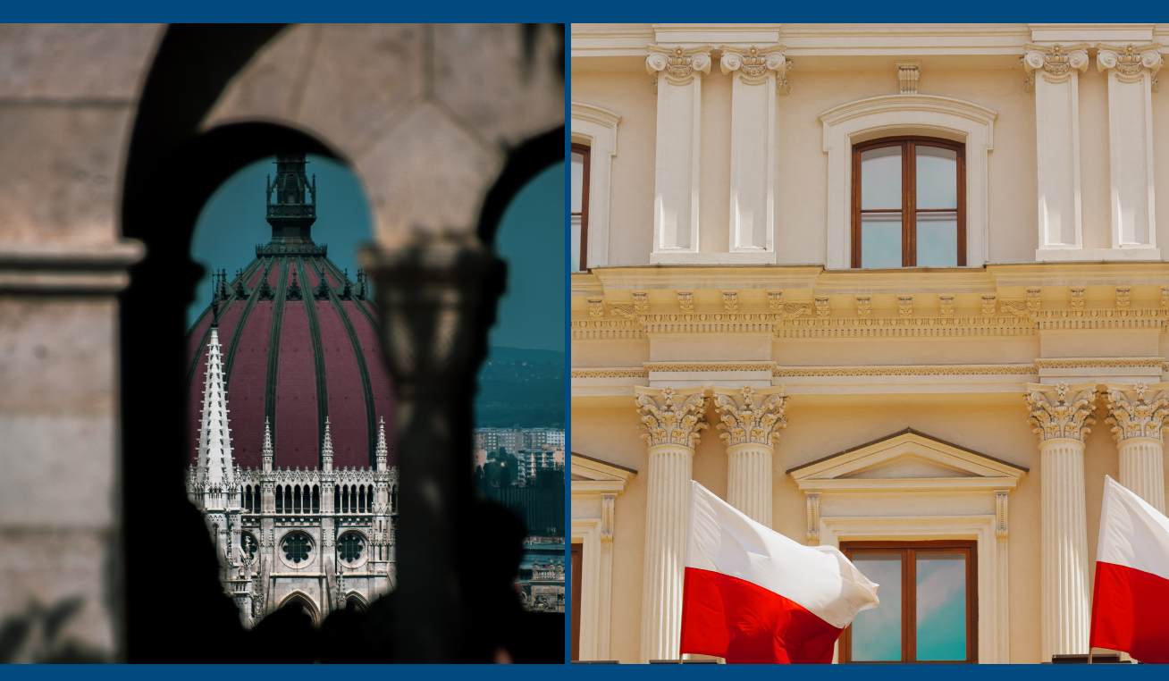 Political Capital, Projekt: Polska