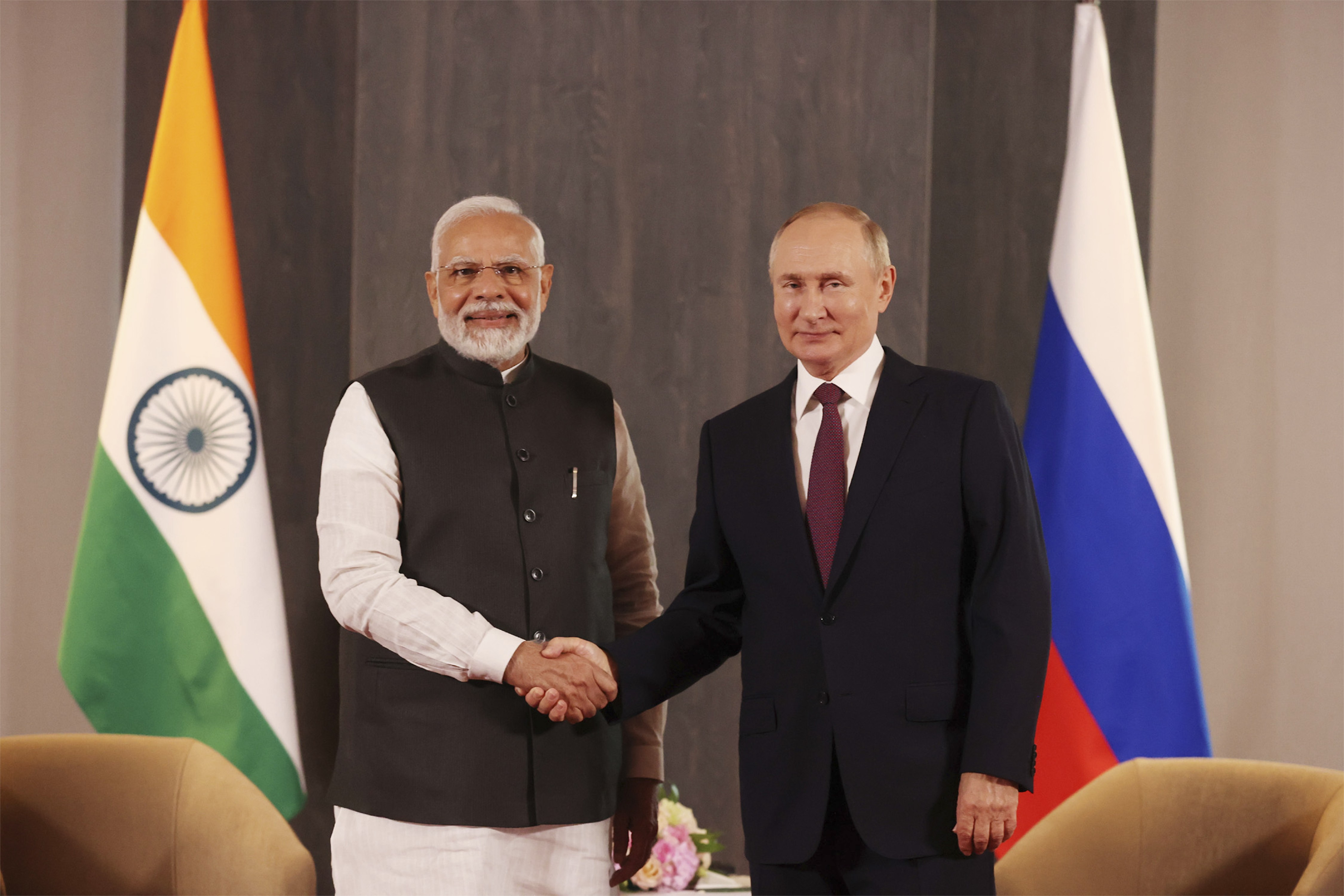 Der indische Premierminister Narendra Modi zusammen mit dem russischen Präsidenten Wladimir Putin 