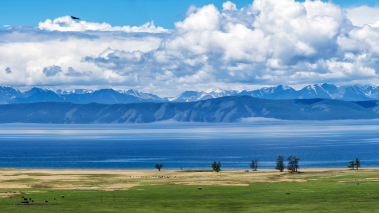 Landscape in Mongolia