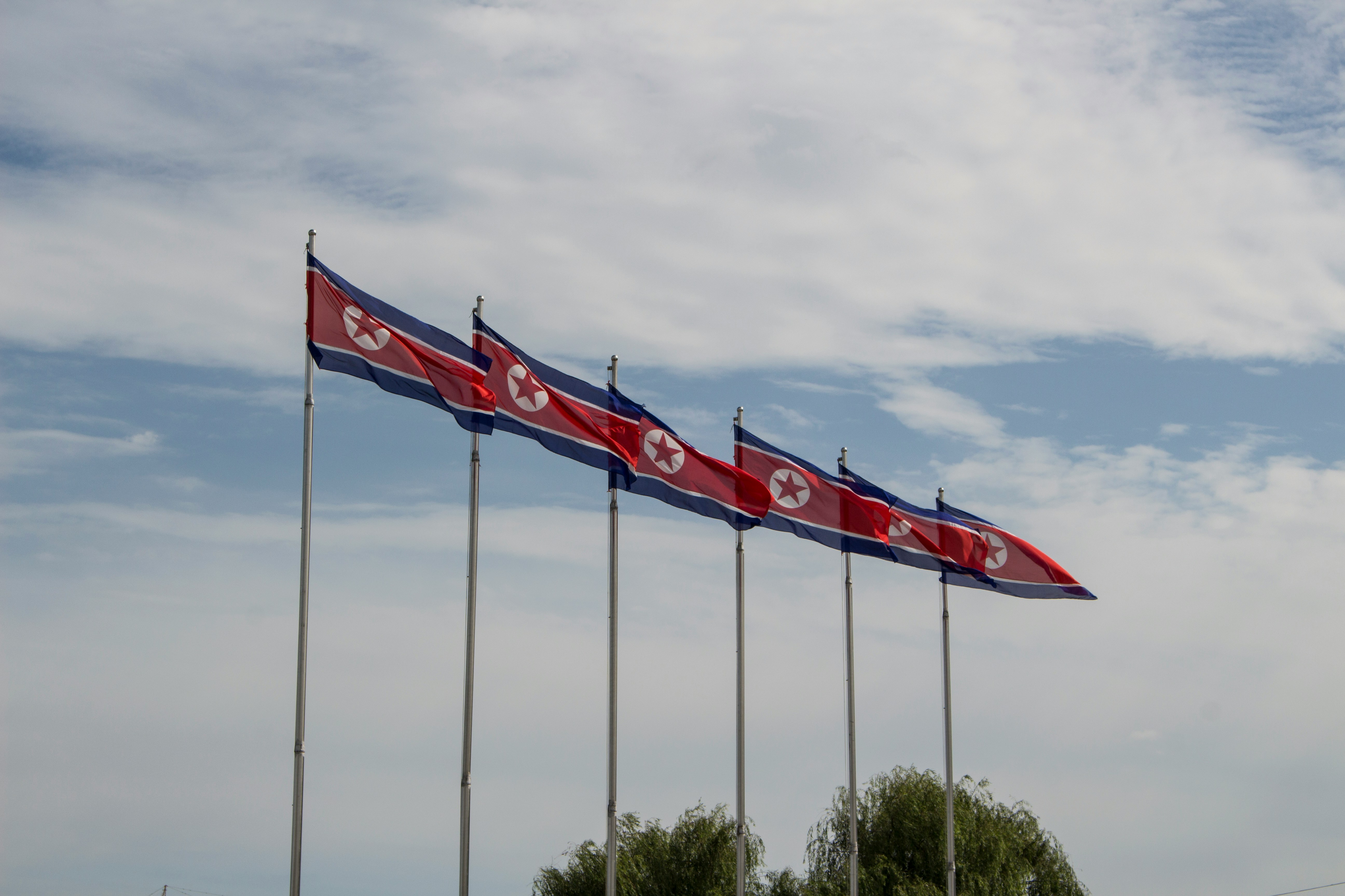north korean flags
