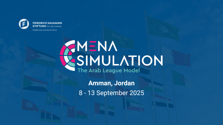MENA Simulation