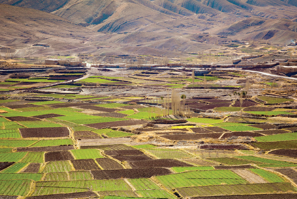 agriculture resilience 