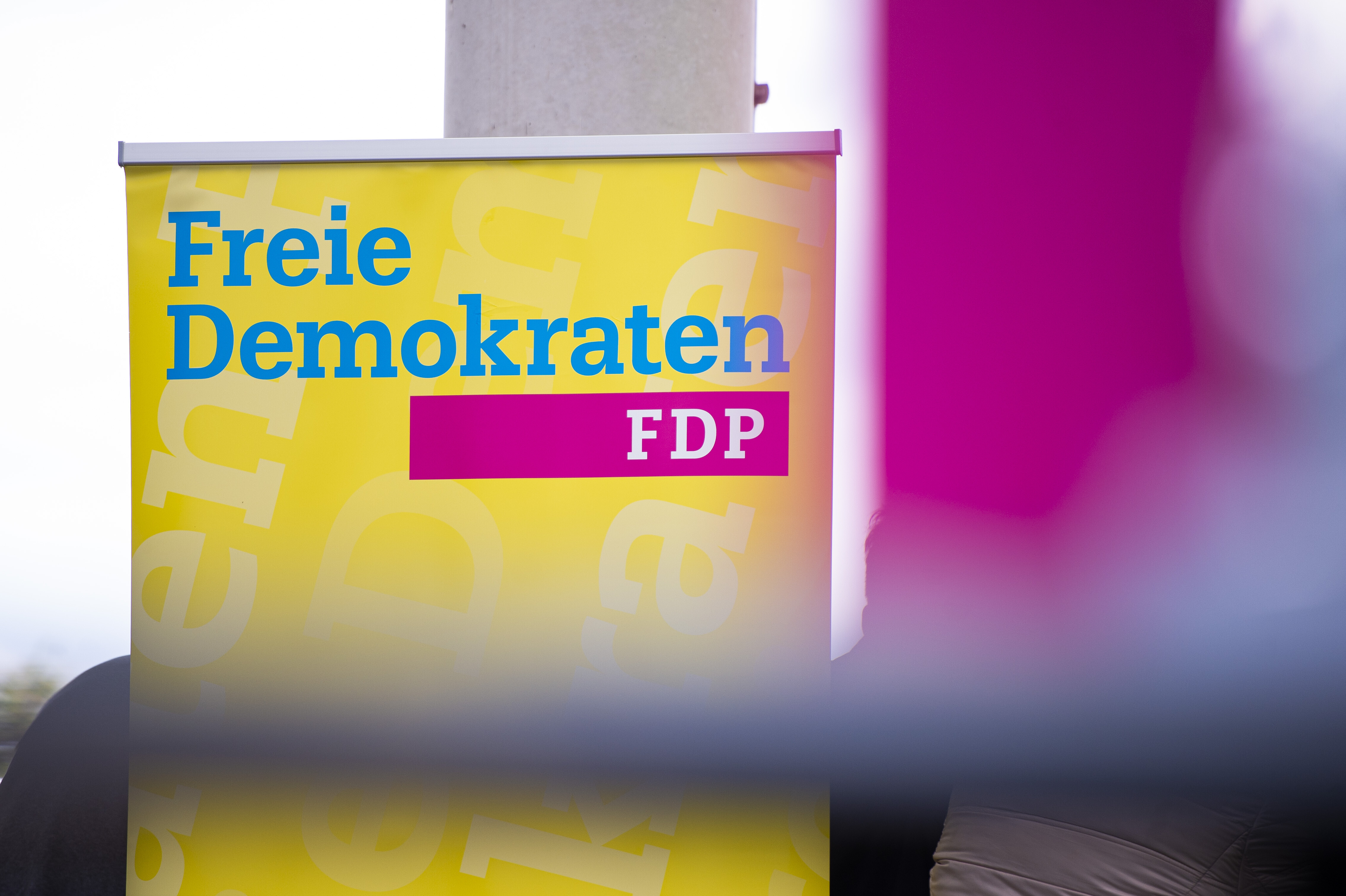FDP
