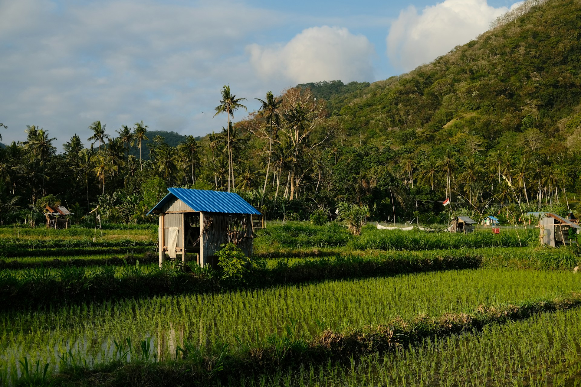 Photo by Matt Johnson on Unsplash