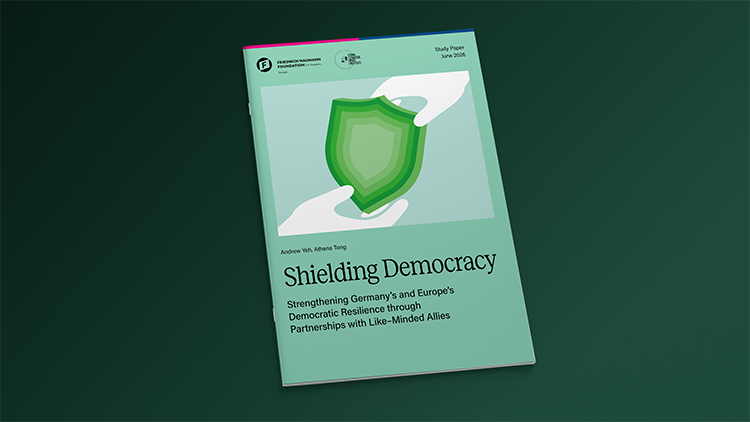 Cover of publication