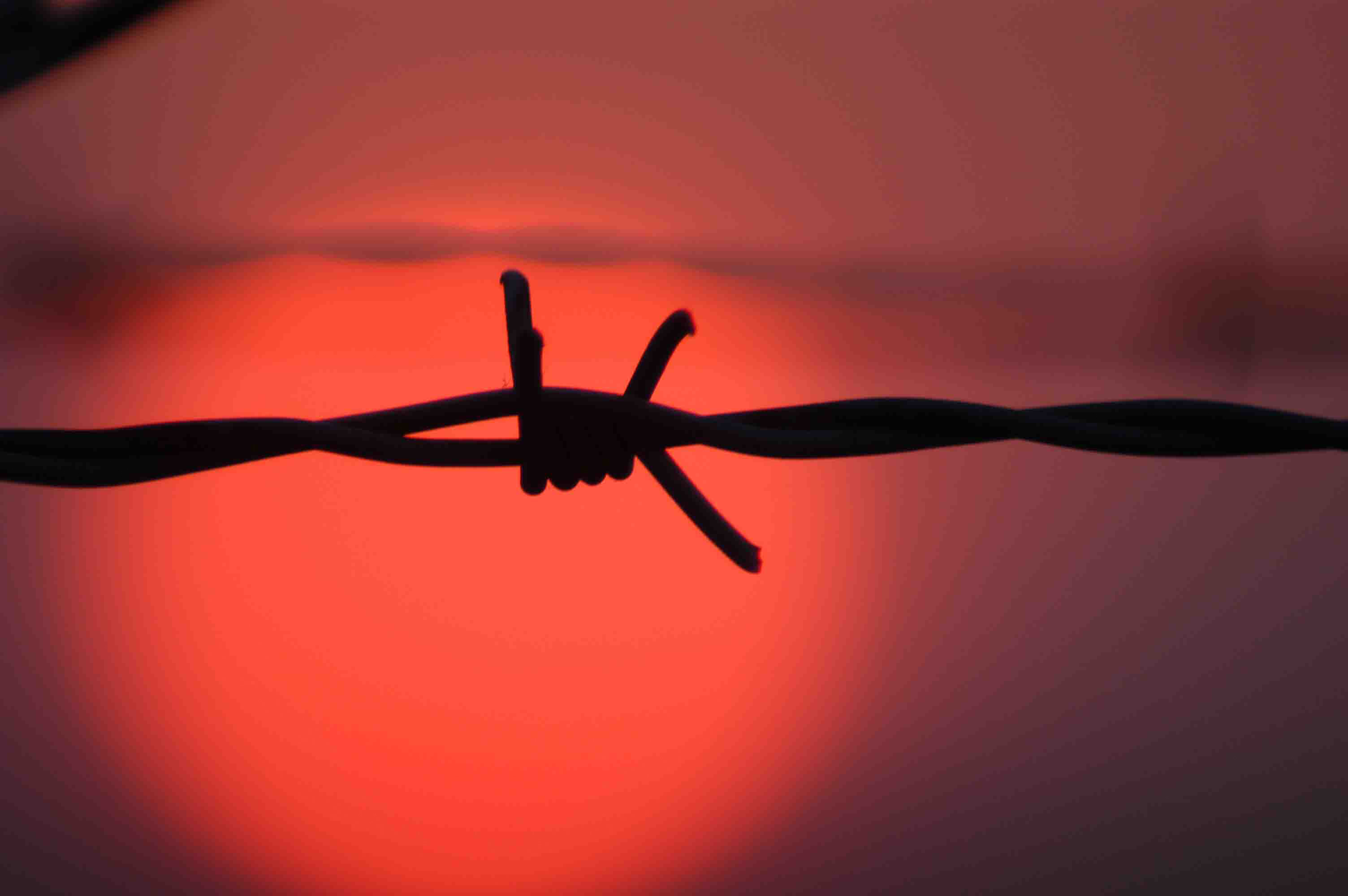 Stacheldraht vor untergehender Sonne als Schattenriss.