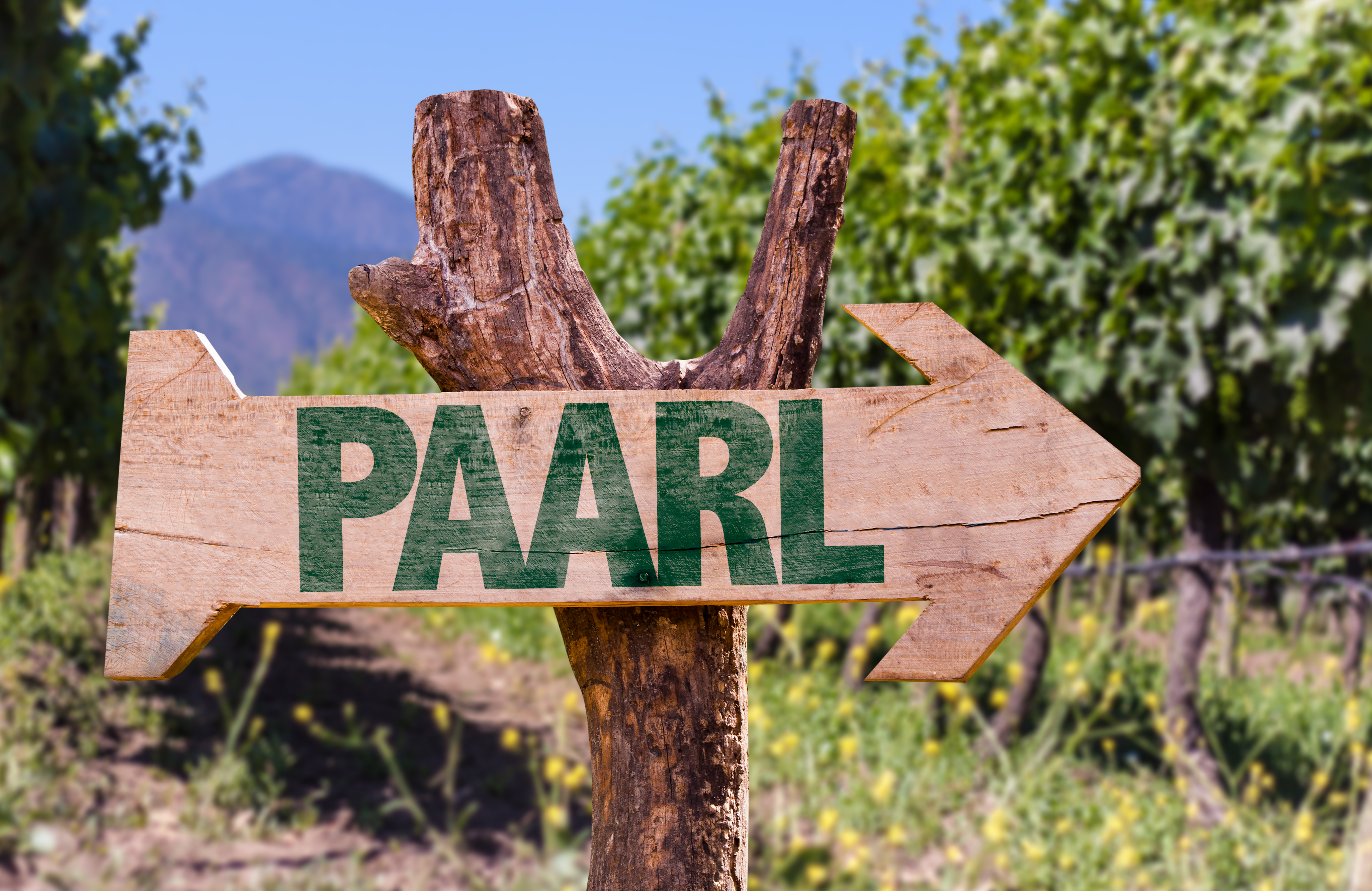 Paarl