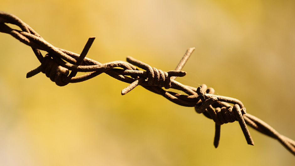 Paris, Anschläge, Terror, Deutschland, Freiheit, Demokratie, Stiftung für die Freiheit, Leutheusser-Schnarrenberg