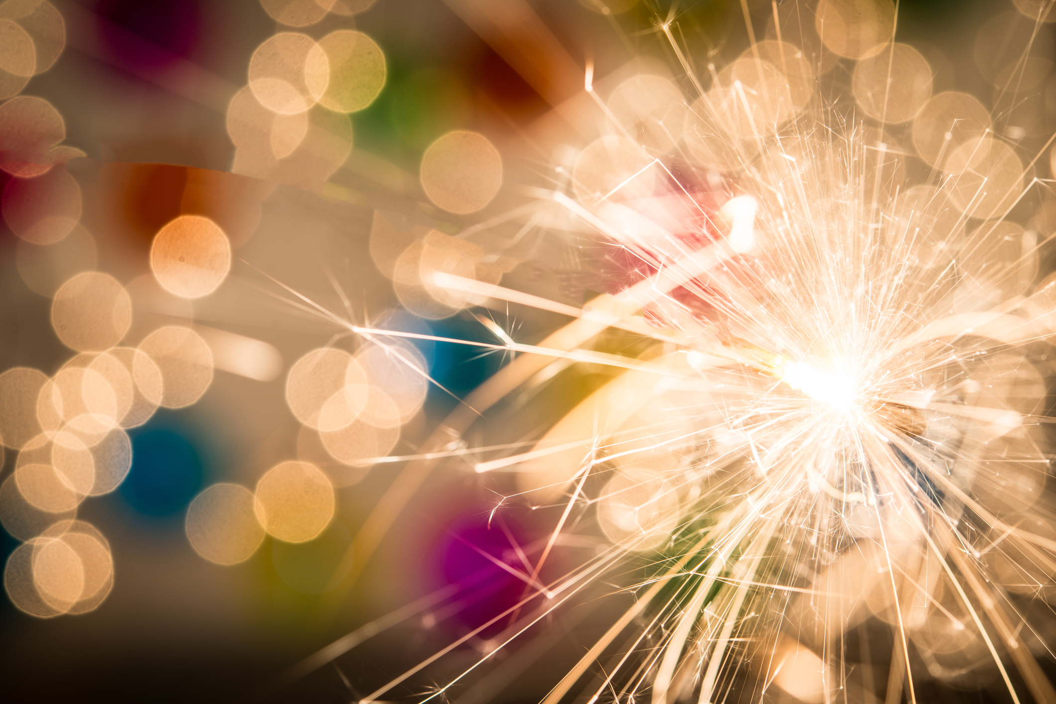 Die Stiftung für die Freiheit wünscht frohe Weihnachten und schaut gespannt auf 2018.