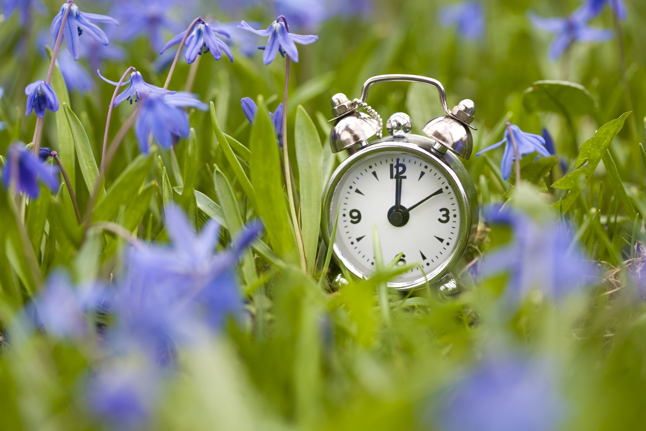 Hat die Sommerzeit ausgedient? 