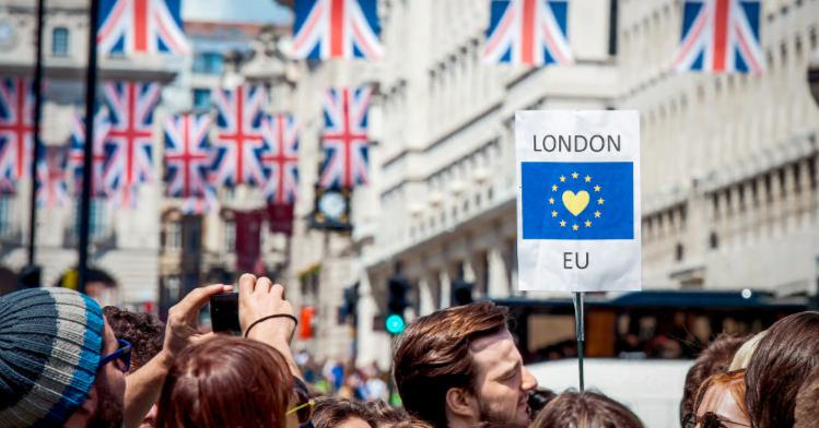 Pro-EU Demonstration in London. 