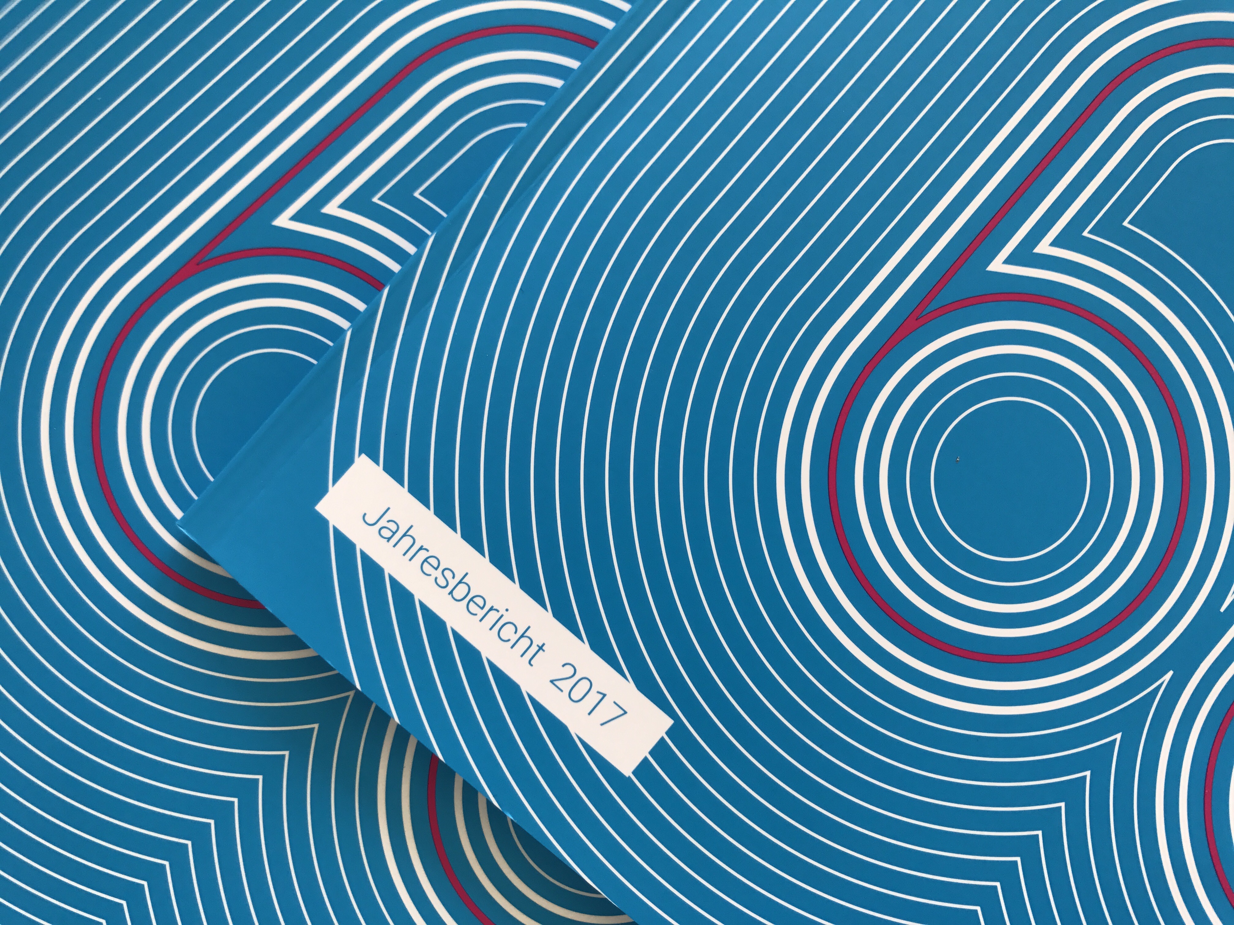 Wie jedes Jahr bietet der Jahresbericht einen Einblick in die weltweite Arbeit der Stiftung.