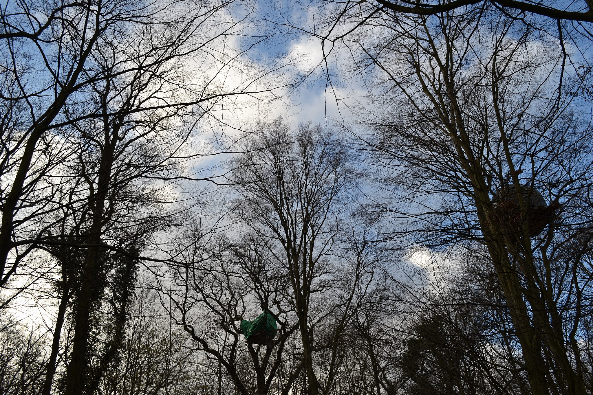 Waldsiedlung im Hambacher Forst