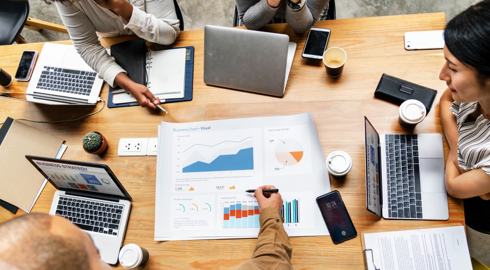 Mushrooms in Thailand