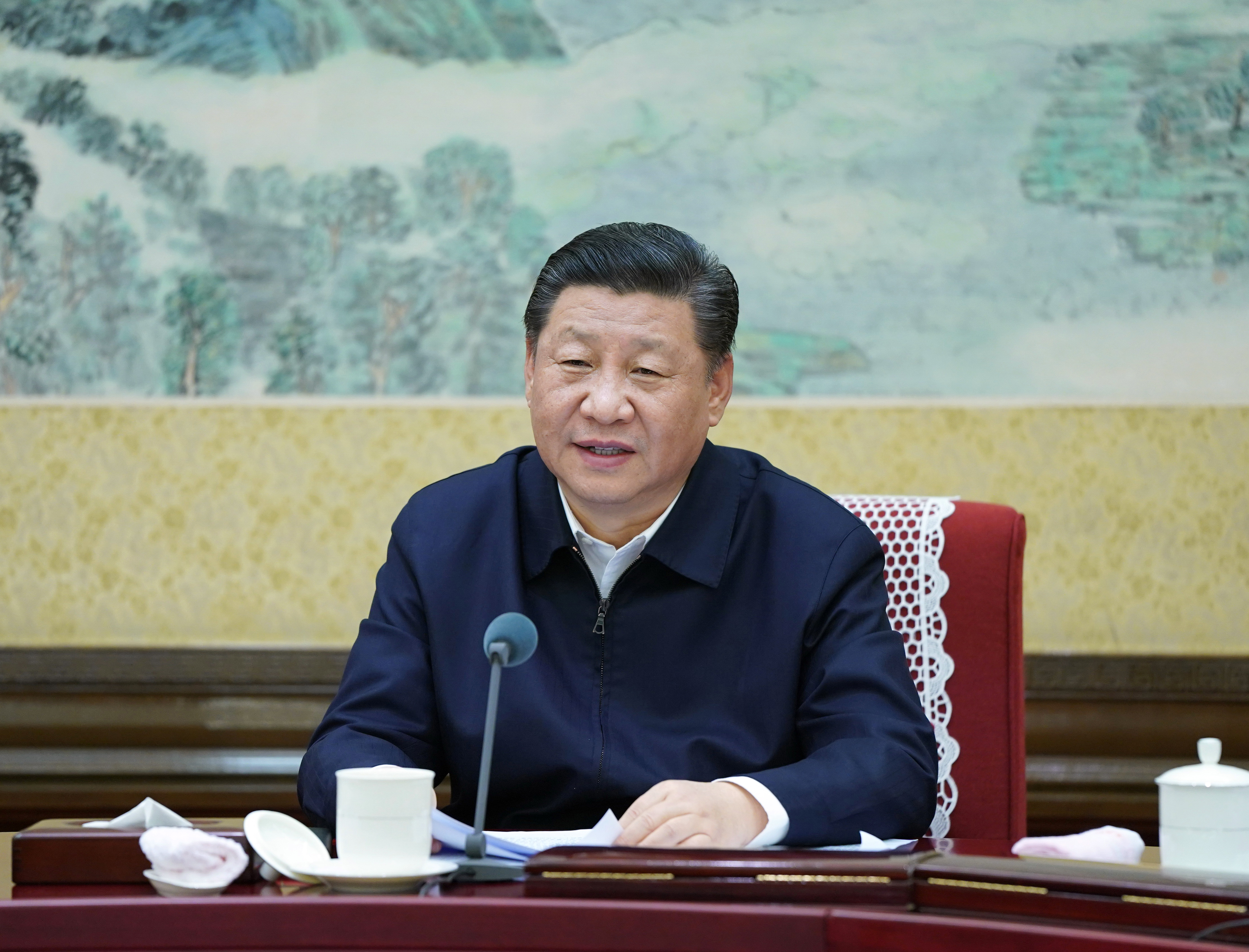 Xi Jinping, Generalsekretär der Kommunistischen Partei Chinas