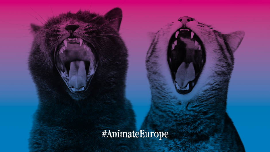 #AnimateEurope