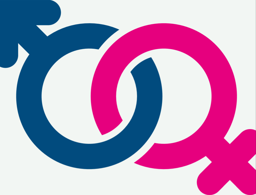 Ders Kitaplarında Sekülerizm ve Toplumsal Cinsiyet Eşitliği Araştırması Sonuç Raporu