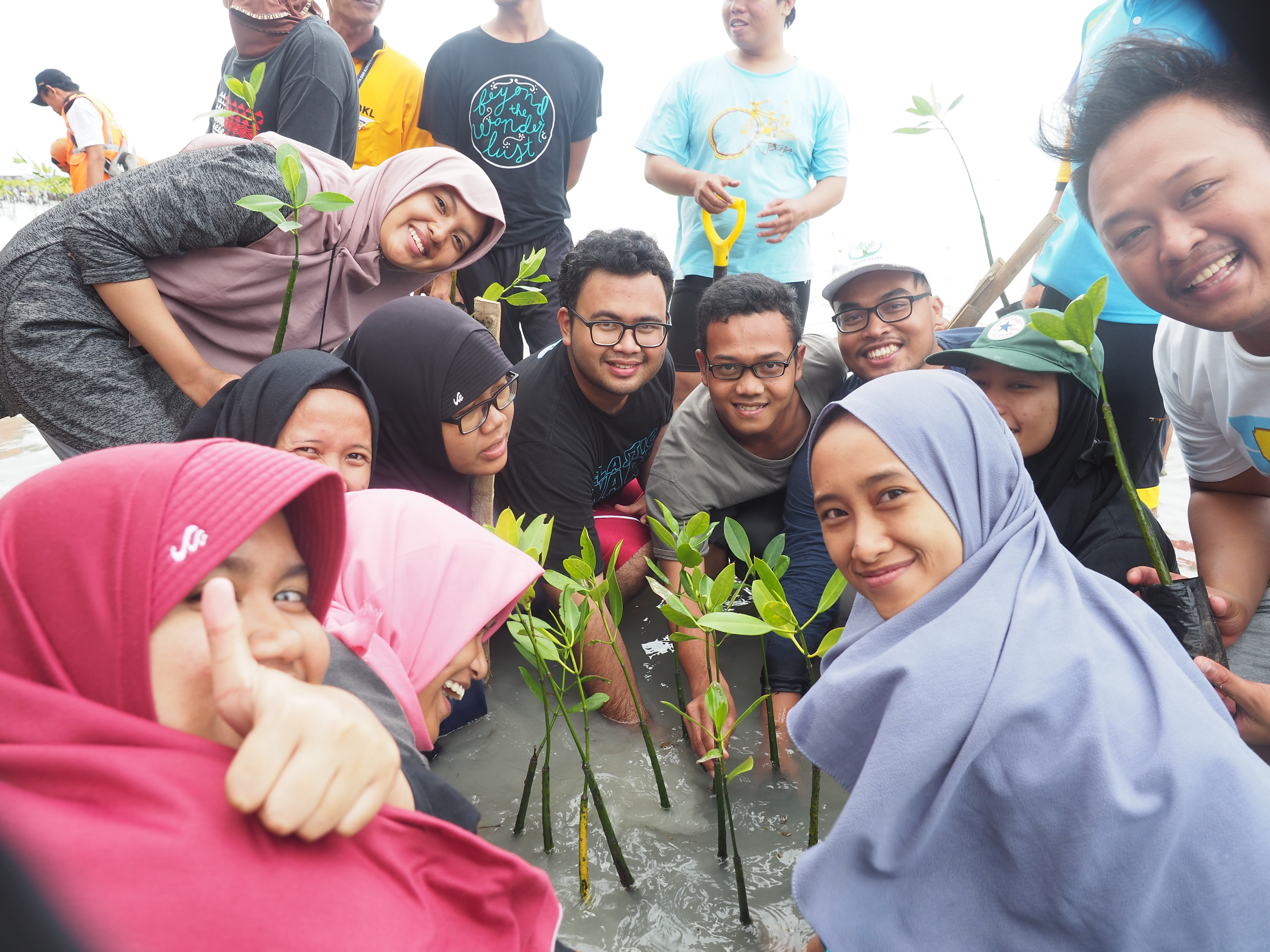 Mangrove Planting 
