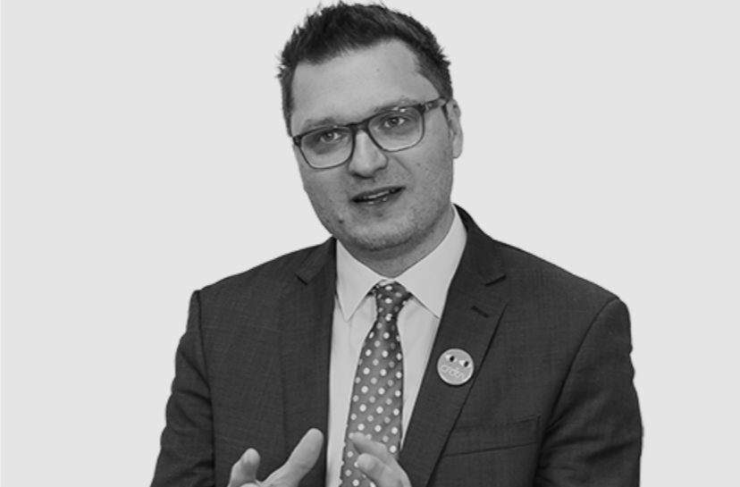 Raša Nedeljkov - CRTA