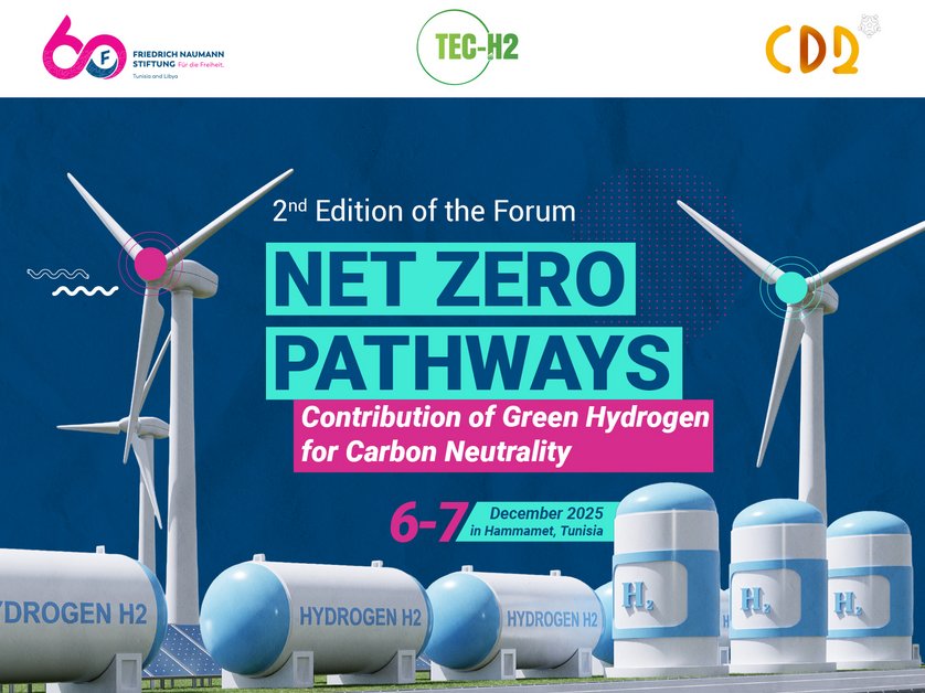 Green Hydrogen: “Net Zero Pathways”: Green Hydrogen for Carbon Neutrality