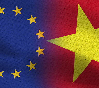 Vietnam and EU flag