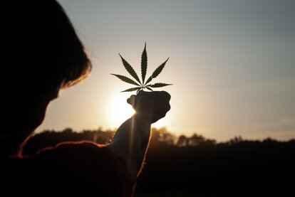 A person holding a cannabis leaf in the midst of a breathtaking sunset
