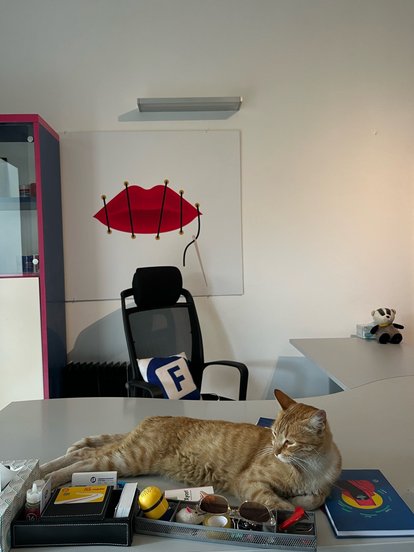 Auslandsakademie 2025