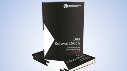 Schwarzbuch 2016/17 Bund der Steuerzahler BdSt