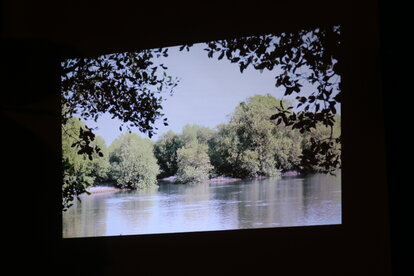 Climate Awareness Day