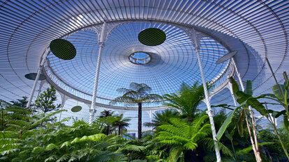 Das "Palmhouse" im Botanischen Garten Glasgow