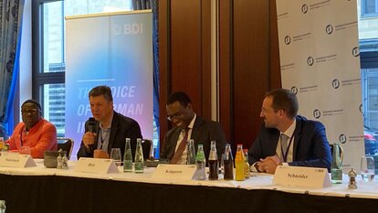 Green Hydrogen Investment