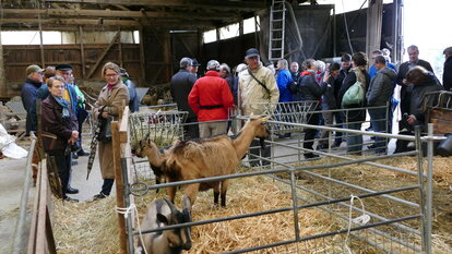 Schäferei Kirschbaum