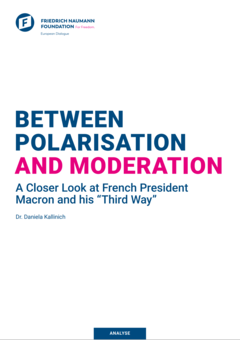 Study FNF Europe_Between Polarisation and Moderation