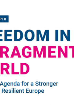 Freedom in a Fragmented World