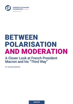 Between Polarisation and Modernisation