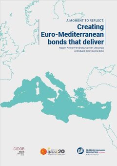 A moment to reflect: Creating Euro-Mediterranean bonds that deliver