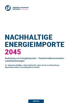 Nachhaltige Energieimporte 2045